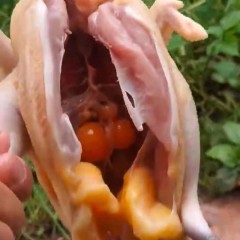 精品放养老母鸡