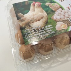生态放养鸡蛋20枚装（粉壳蛋）